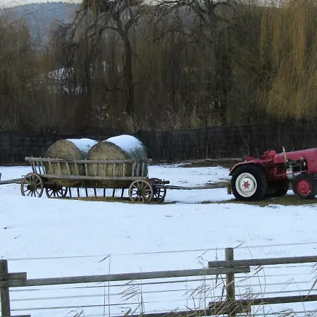 Apartmán Family Casa *